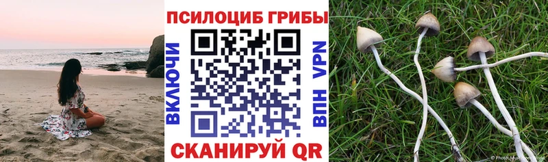 мега зеркало Апатиты Галлюциногенные грибы Magic Shrooms купить